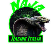 Naja racing Green